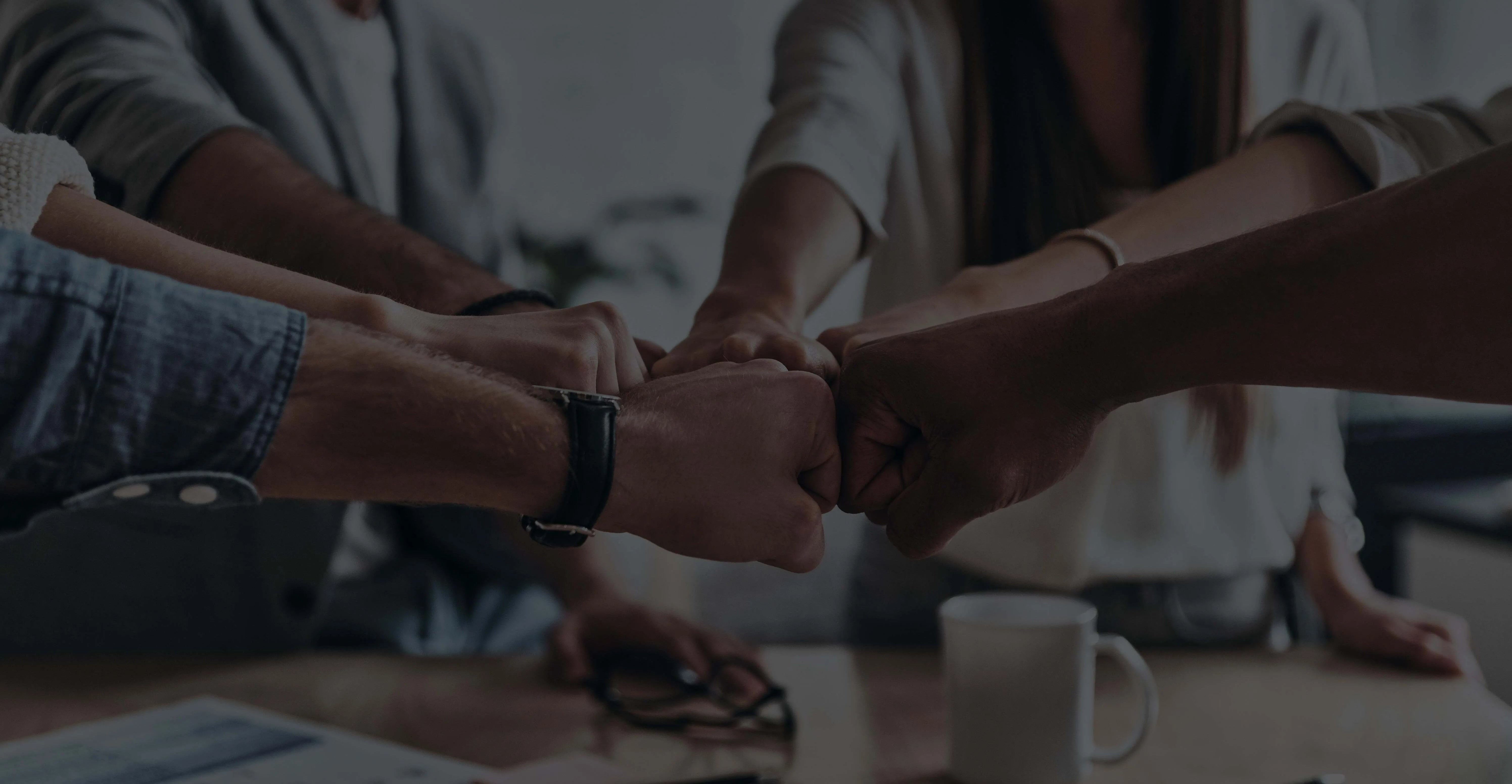 Meet the Enzymedica family